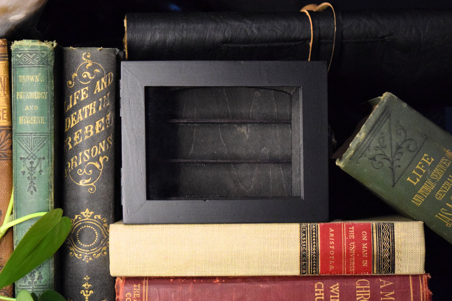 The Short Stack - Black