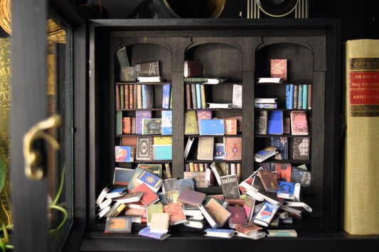 The Original Shake-A-Shelf (Anxiety Bookshelf) - Black