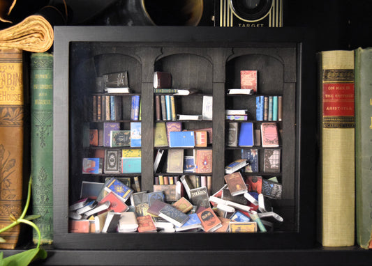 The Original Shake-A-Shelf (Anxiety Bookshelf) - Black