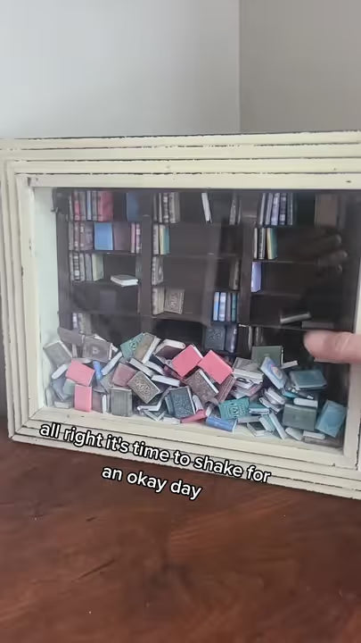 Shake-A-Shelf viral TikTok video cover showing the original miniature bookshelf